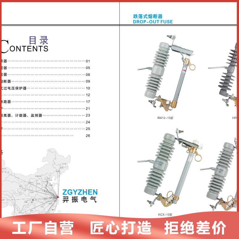 【羿振牌】支柱绝缘子ZSW2-20/16-ZSW2-20/20