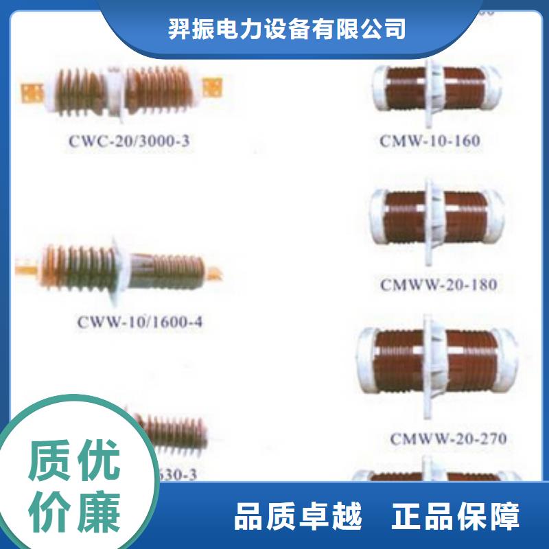 【绝缘子】支持绝缘子_ZSW1-145/4