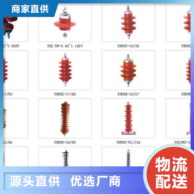 跌落式熔断器PRW-10F-40A