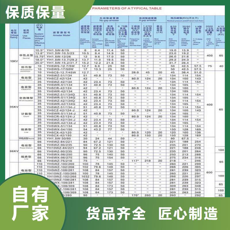 YH10WZ-51/134G【羿振电力设备】