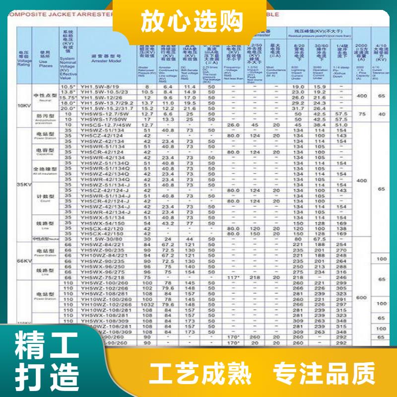 品牌：【羿振电力】避雷器Y10W-108/281