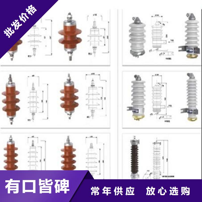 避雷器Y10W-216/562浙江羿振电气有限公司