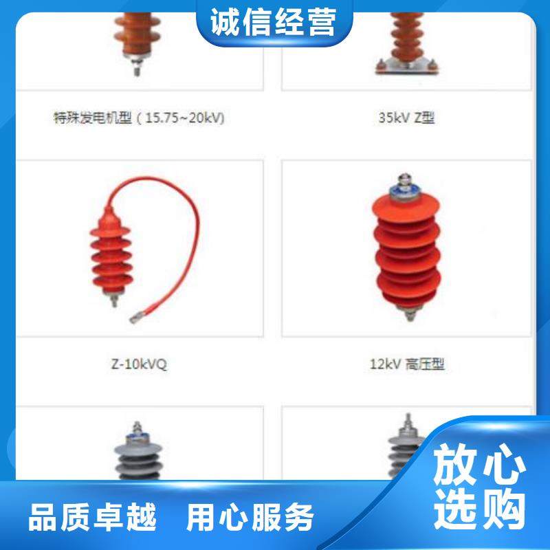 【避雷器】Y5WS-17/50-上海羿振电力设备有限公司