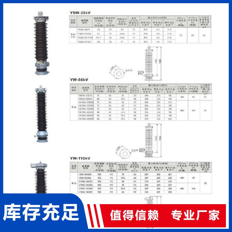 避雷器YH10W5-100/260【羿振电力】