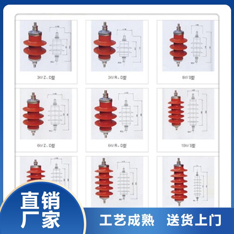 避雷器Y10W-216/562浙江羿振电气有限公司