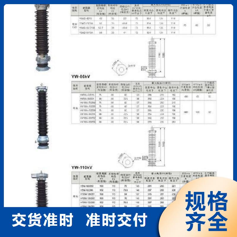 【避雷器】YH5WX-96/250TD-上海羿振电力设备有限公司