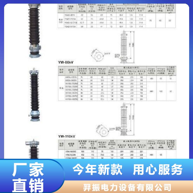 避雷器YH10W-100/260G生产厂家