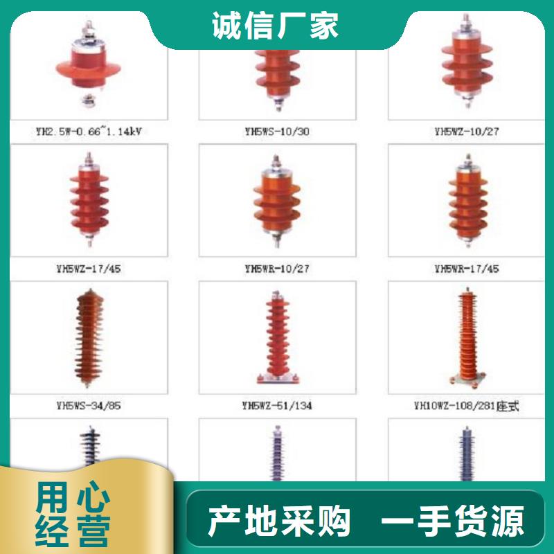 氧化锌避雷器Y10W5-116/302GY-浙江羿振电气有限公司