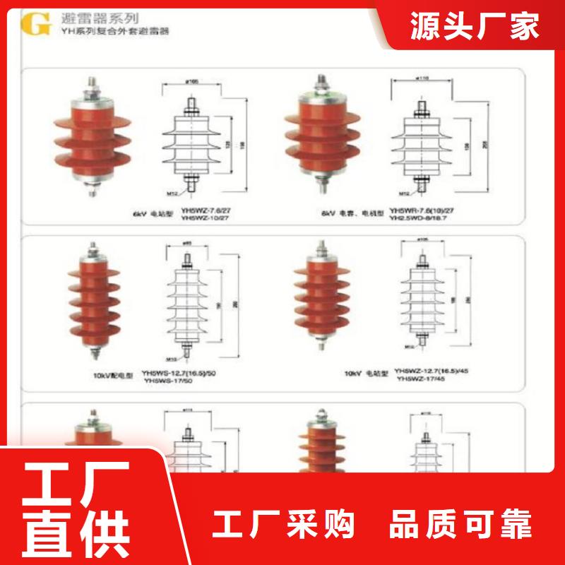 【羿振电气】Y5WS-17/45FT-避雷器生产厂家