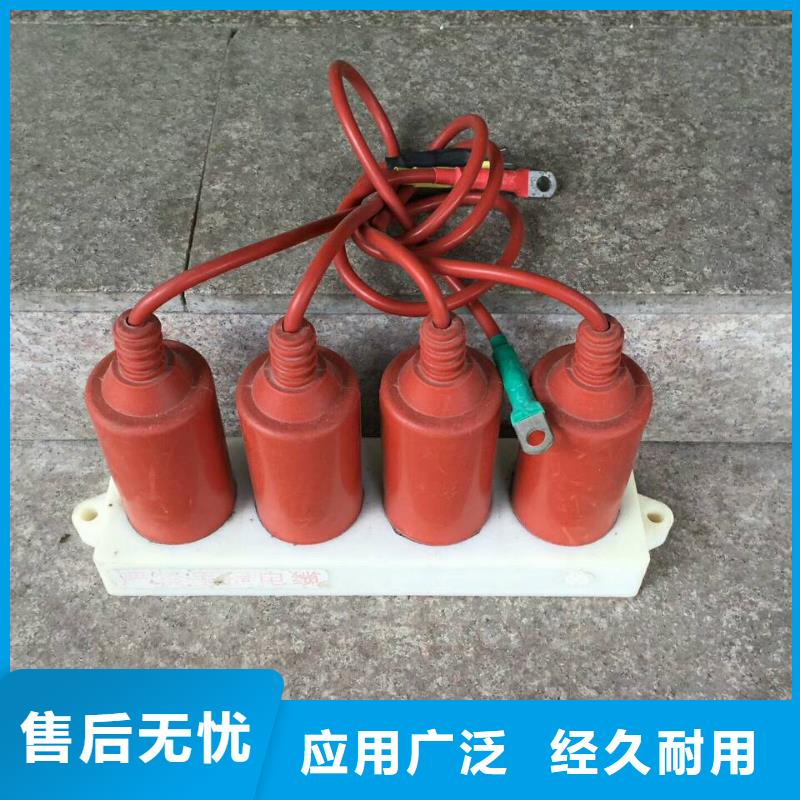 羿振电气牌：SYB-B-42KV/400W1-过电压保护器避雷器生产厂家