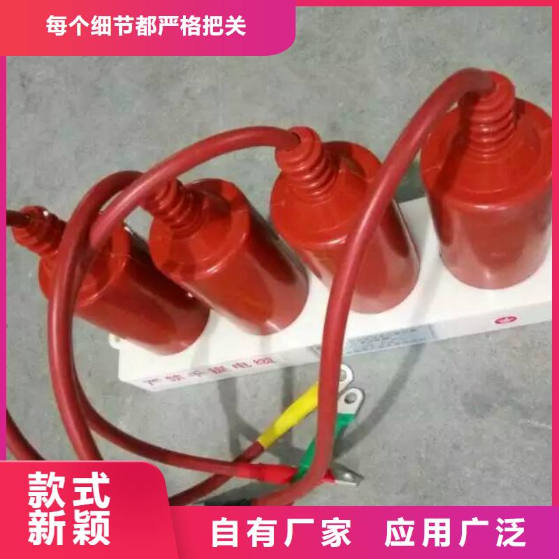 保护器(组合式避雷器)HY5WZ-51/150*51/134