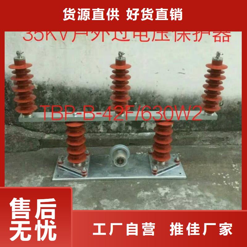 保护器(组合式避雷器)JPB-HY5WS1-12.7/50