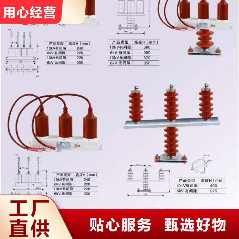 羿振电气牌：TBP-B-42/630W-过电压保护器避雷器生产厂家