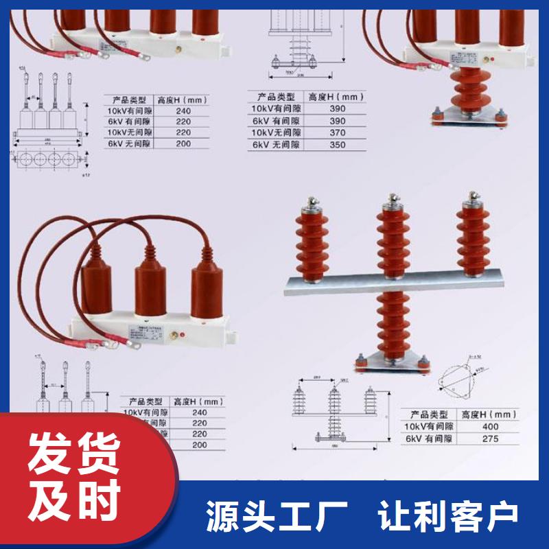 〖过电压保护器〗TBP-A-42F/200优惠报价