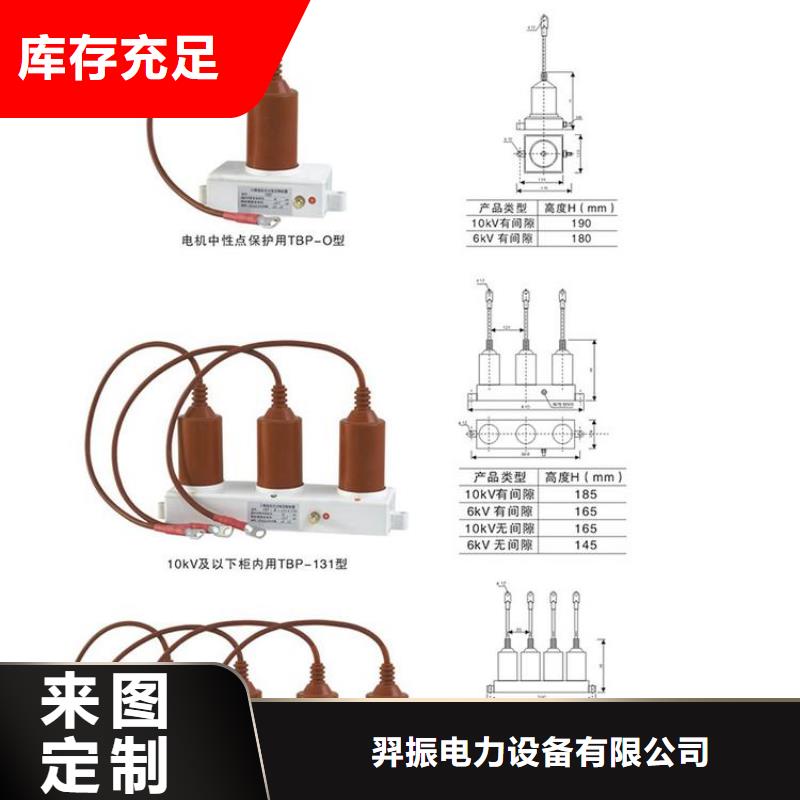 过电压保护器(组合式避雷器)TBP-A-10.5/F