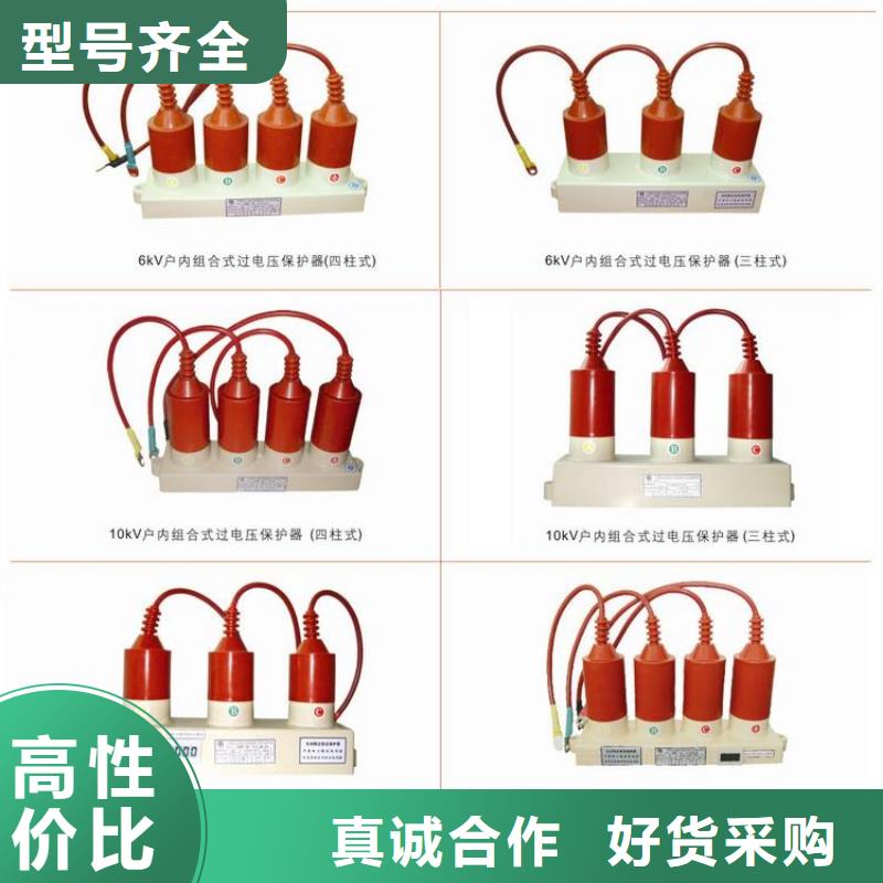 过电压保护器BSTG-C-12.7/131