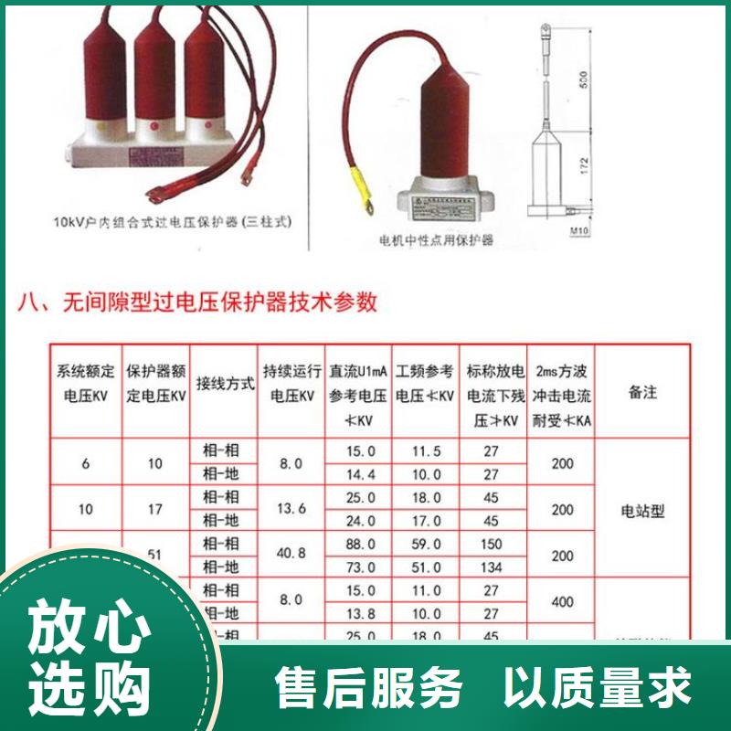 《过电压保护器》BSTG-C-17/600