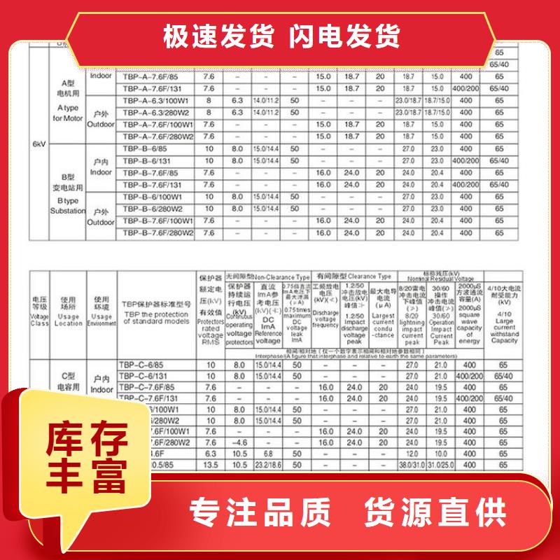 过电压保护器(组合式避雷器)BSTG-C-12.7/800