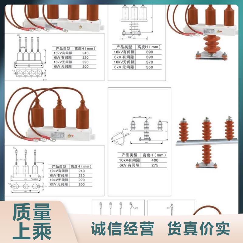 过电压保护器(组合式避雷器)TBP-B-7.6/131