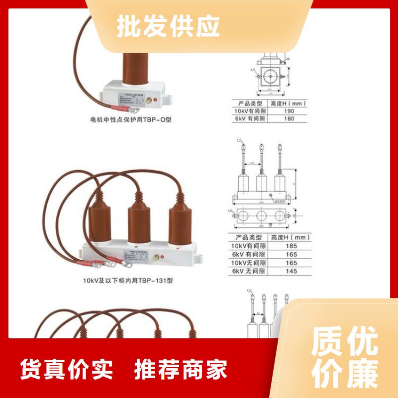 《过电压保护器》BSTG-O-7.6