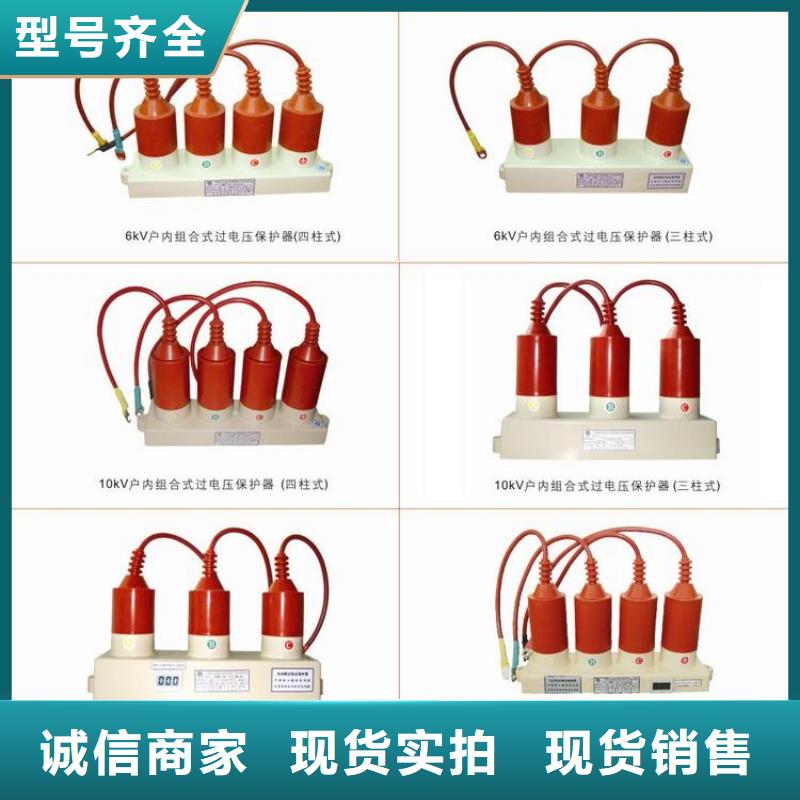 过电压保护器(组合式避雷器)BSTG-A-6