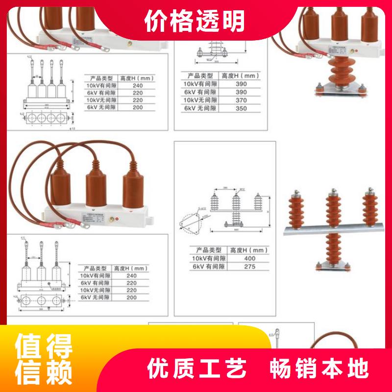 保护器(组合式避雷器)HY5WZ-51/150*51/134