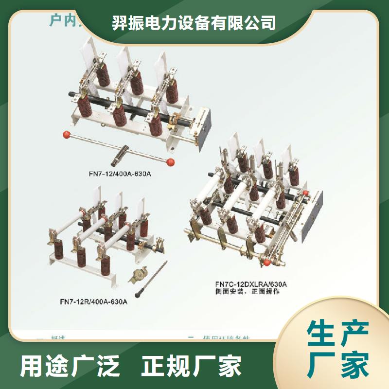 高压负荷开关FZRN25-10D/T125-31.5质量放心