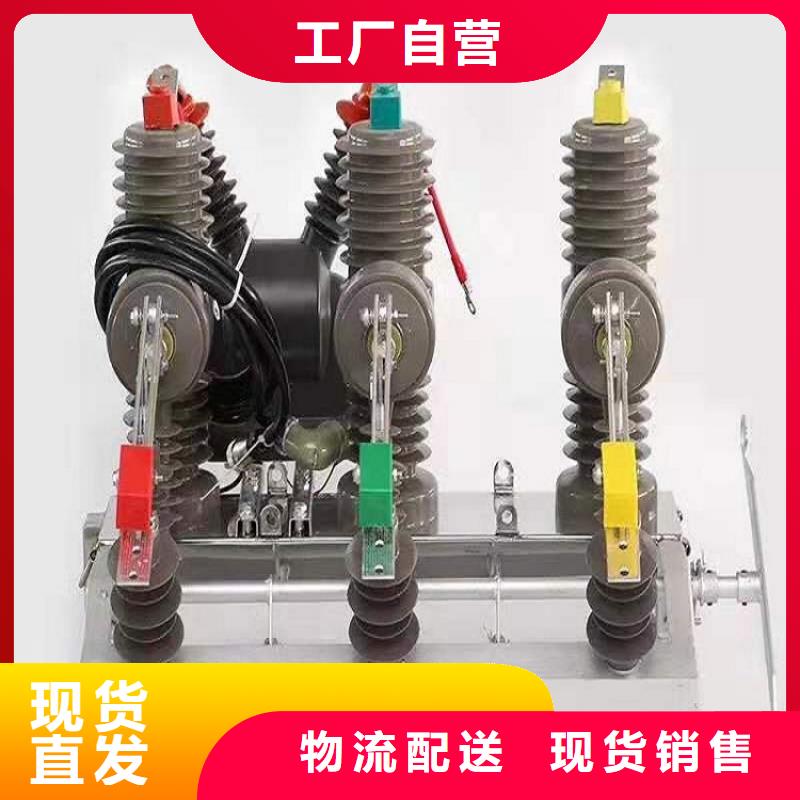 品牌【羿振电力】10KV户外柱上真空断路器ZW32-12不锈钢电动带隔离