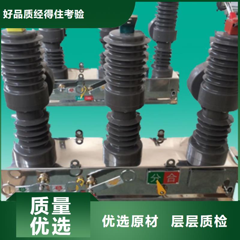 柱上断路器ZW32-6KV/T630-20