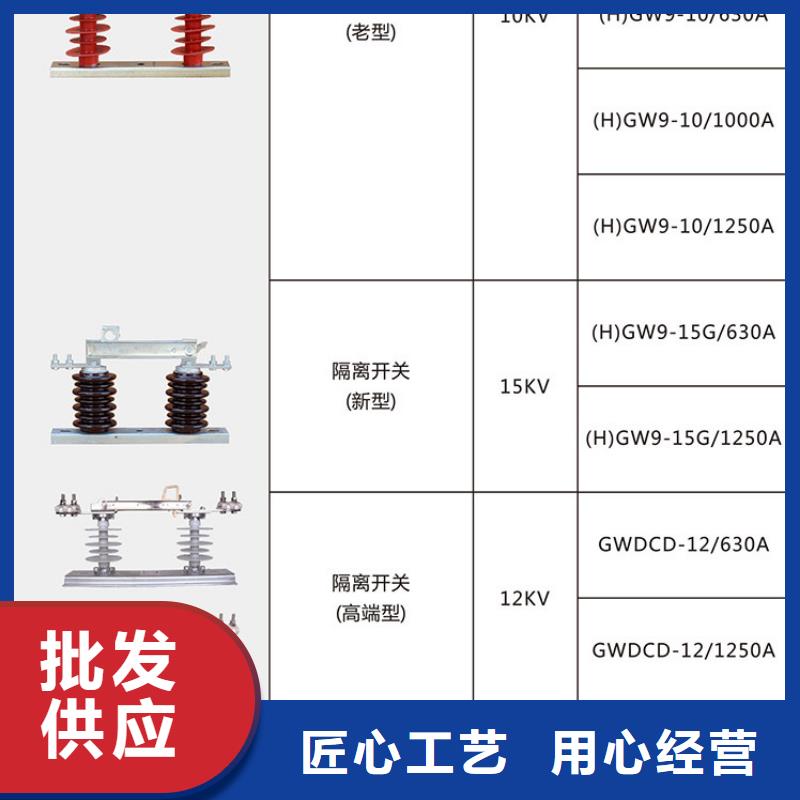 品牌：羿振HGW9-40.5W/1000A