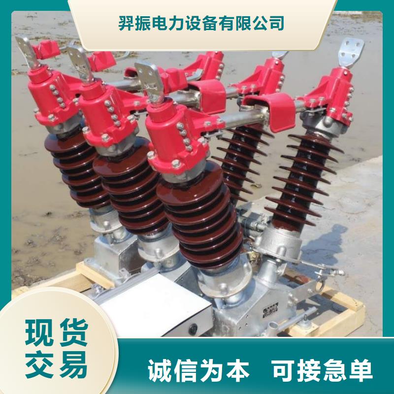 高压隔离开关GW1-12KV/630A