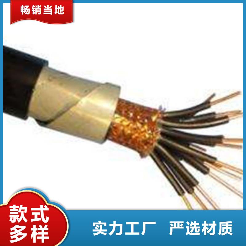 价格实惠的ZRB-DJVVP22计算机电缆2X2X1.0生产厂家