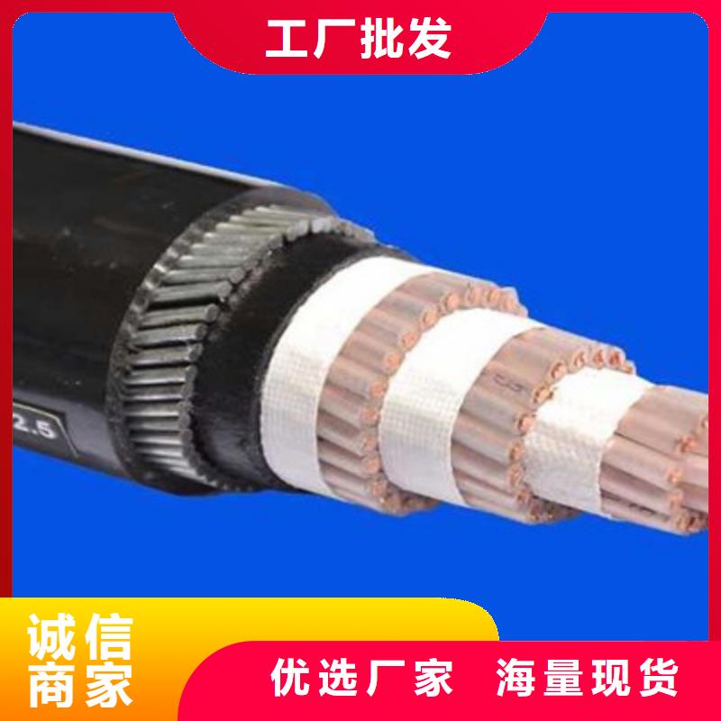 双钢丝控制电缆HCX大企业好品质