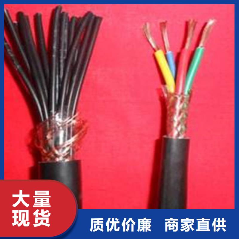 买计算机线缆DJYP1VRP1认准天津市电缆总厂第一分厂