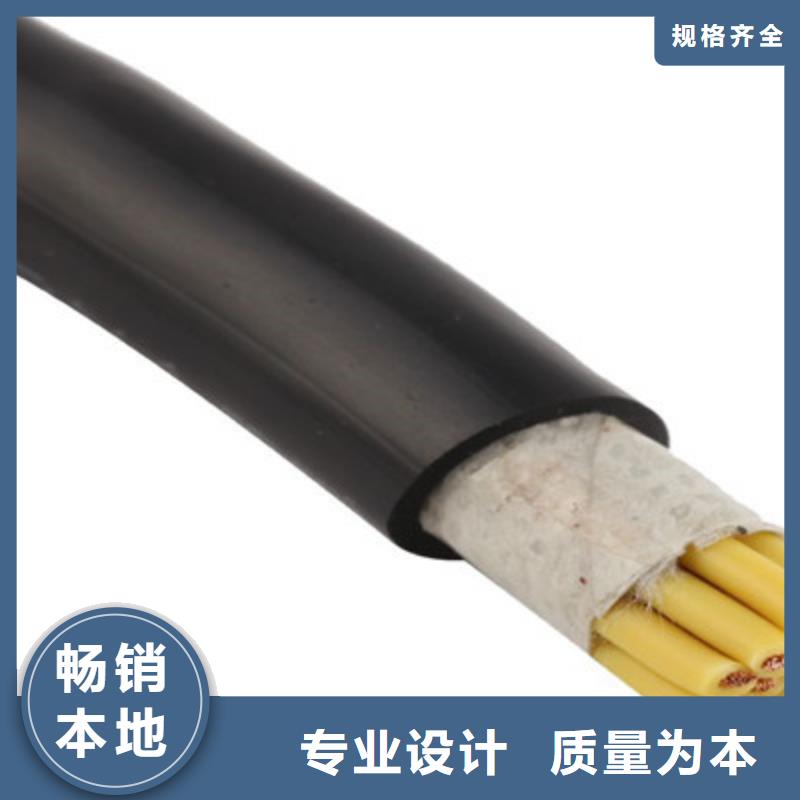 通讯电缆2X1.0每米价格专业生产厂家