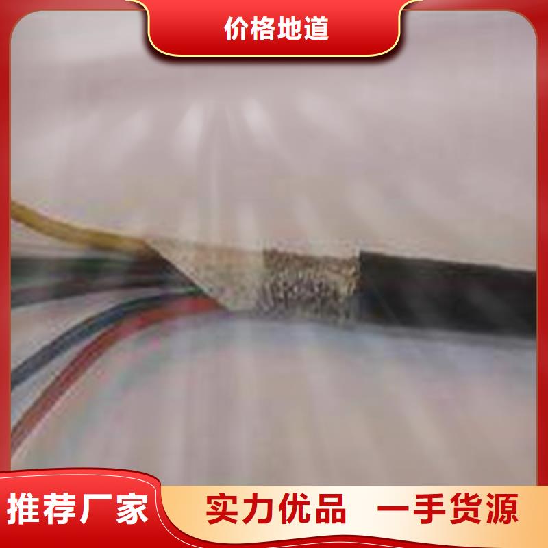 常年供应ZR-IA-DJYVRP2X1.5阻燃本安计算机电缆-保质