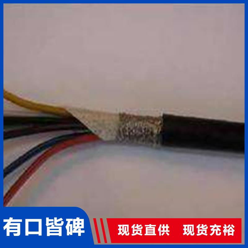 阻燃计算机电缆ZR-DJFVP2X1耐高温价格厂家品质可靠
