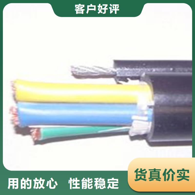 现货供应CAN通讯电缆2X0.5电缆_生产厂家