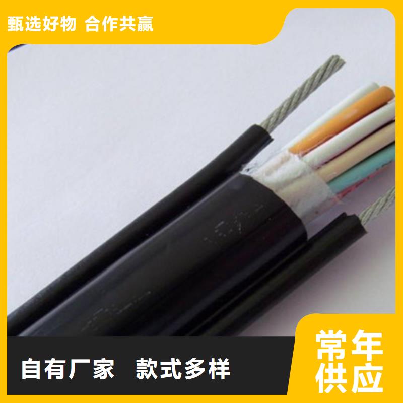 价格实惠的耐火电缆NH-DYWL-RYYP2X1.5厂家