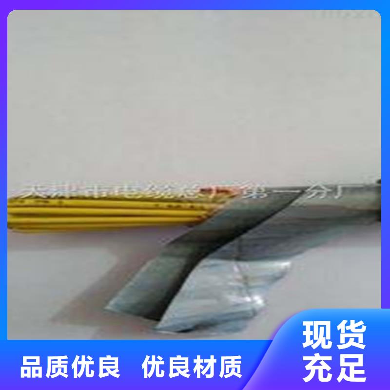 采购ZA-RVV1X25认准天津市电缆总厂第一分厂
