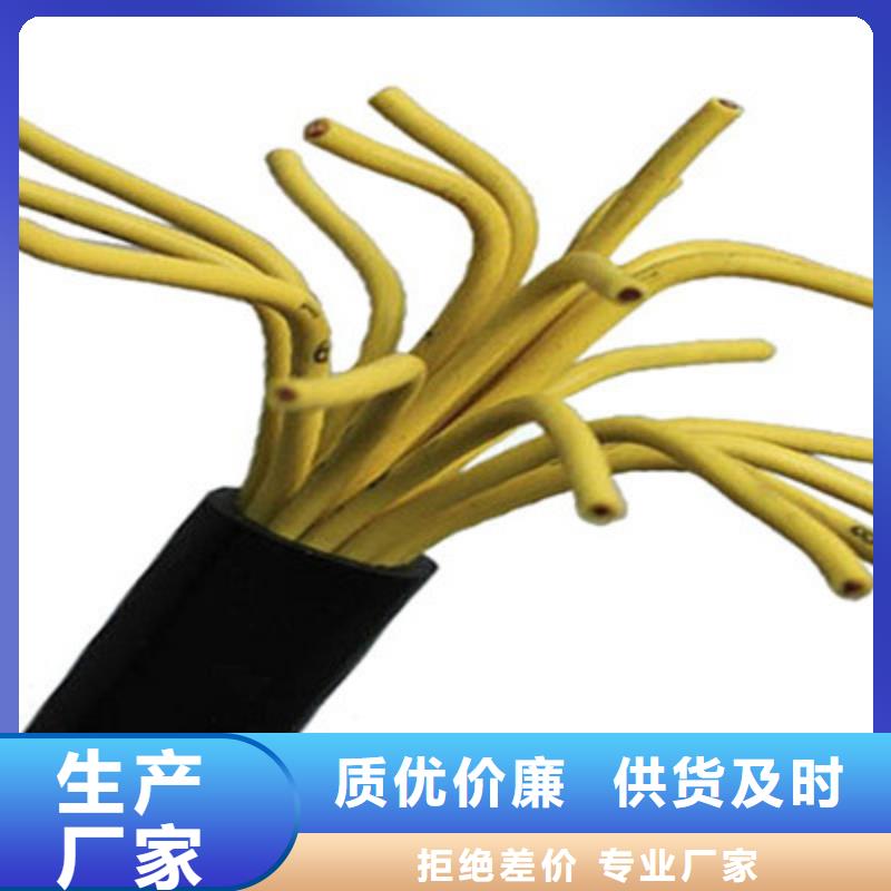 CAT5ESFTP-22双屏蔽电缆老牌企业