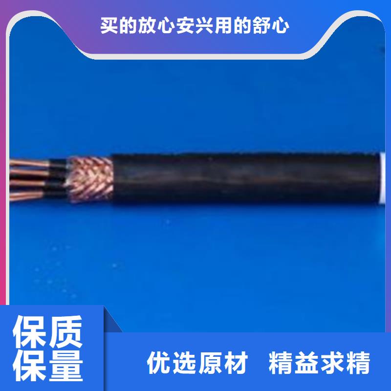 性价比高的EVTJ2X6电缆结构图片销售厂家