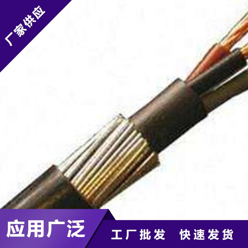 CAN通讯电缆2X0.5电缆承接