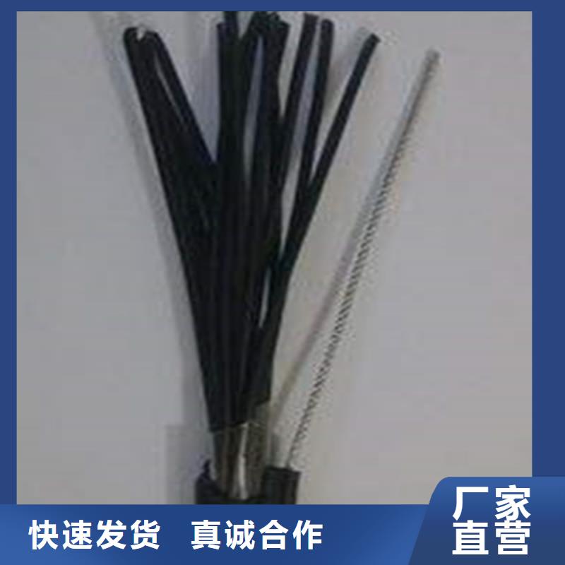 WD-KYYF6X4+3X2.5电缆结构使用无忧