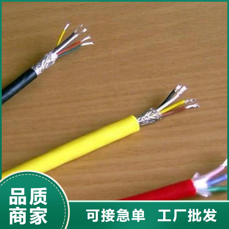 优质双屏蔽阻燃计算机电缆-专业生产双屏蔽阻燃计算机电缆