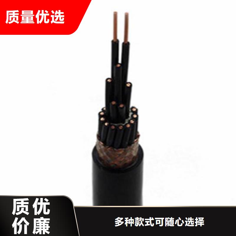 DJYVPR2X2X0.75计算机专用电缆-实力企业