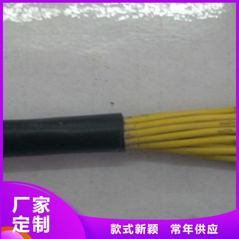 ARC-HJVVP-1铝箔屏蔽电缆产地
