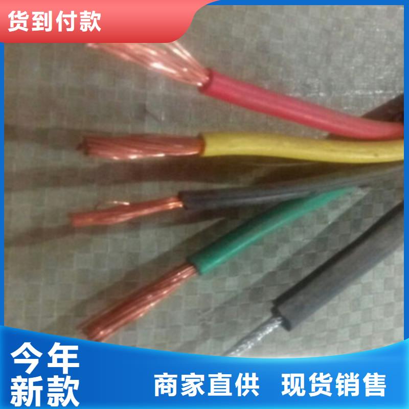 本安电缆IA-K3YVR3X0.5线缆选材用心