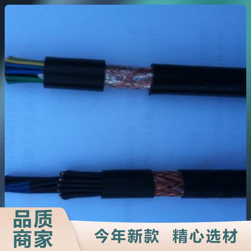 厂家直销RVSP22铠装电缆生产厂商