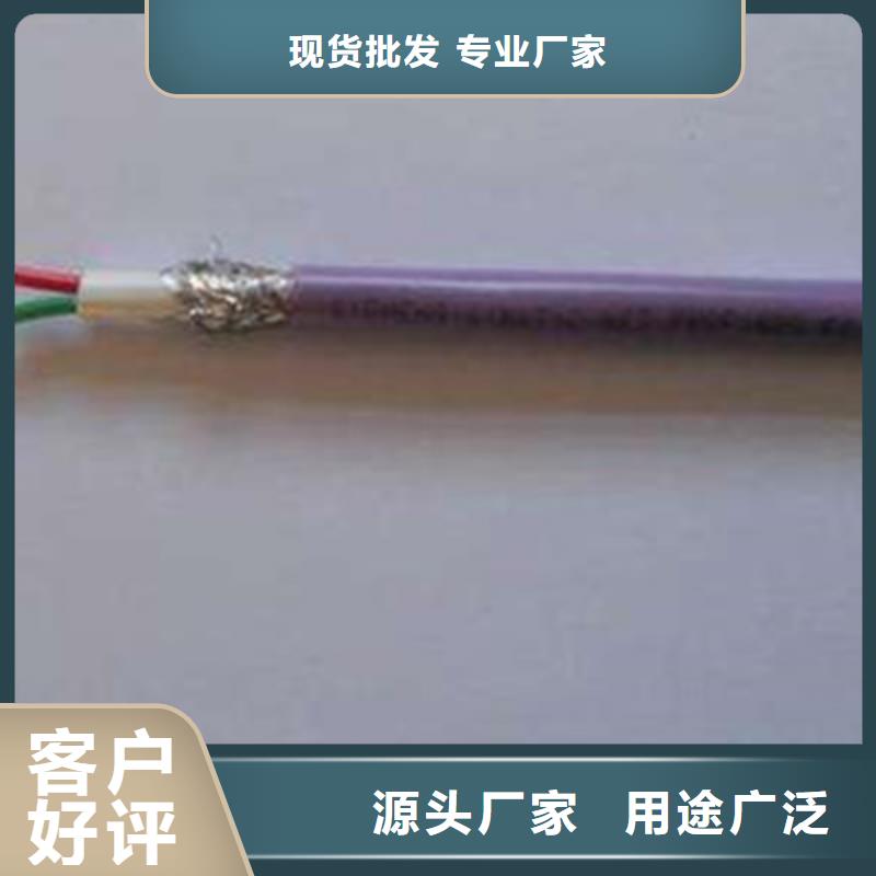 买ZR-IA-YPV-1-R蓝色阻燃电缆必看-服务优